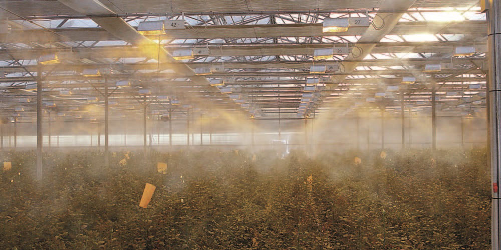 industrial cooling